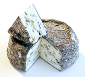 Cheese and Yogurt, Friend or Foe Goat Blue Cheese