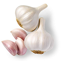 Erectile Dysfunction Cure Garlic