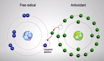 how to delay aging free radicals and antioxidants