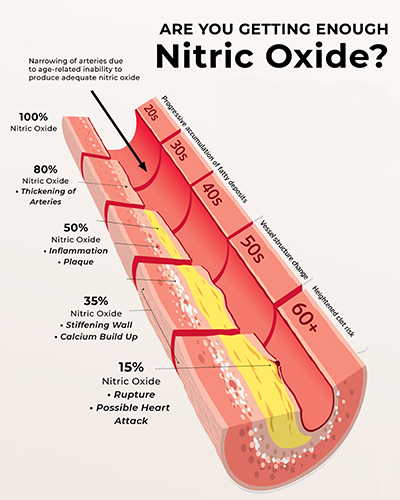 Nitric Oxide Function Benefits and Healthy Life