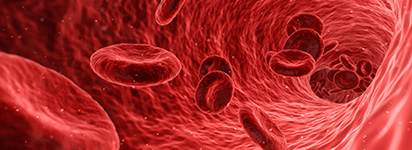 Effect of Nitric Oxide on blood cells
